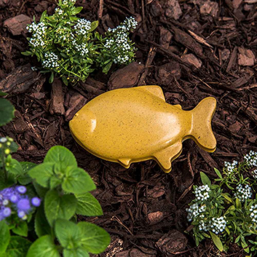 Fish Pod – PawPods