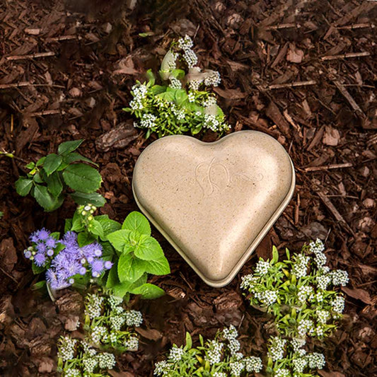 Heart Shaped Urn